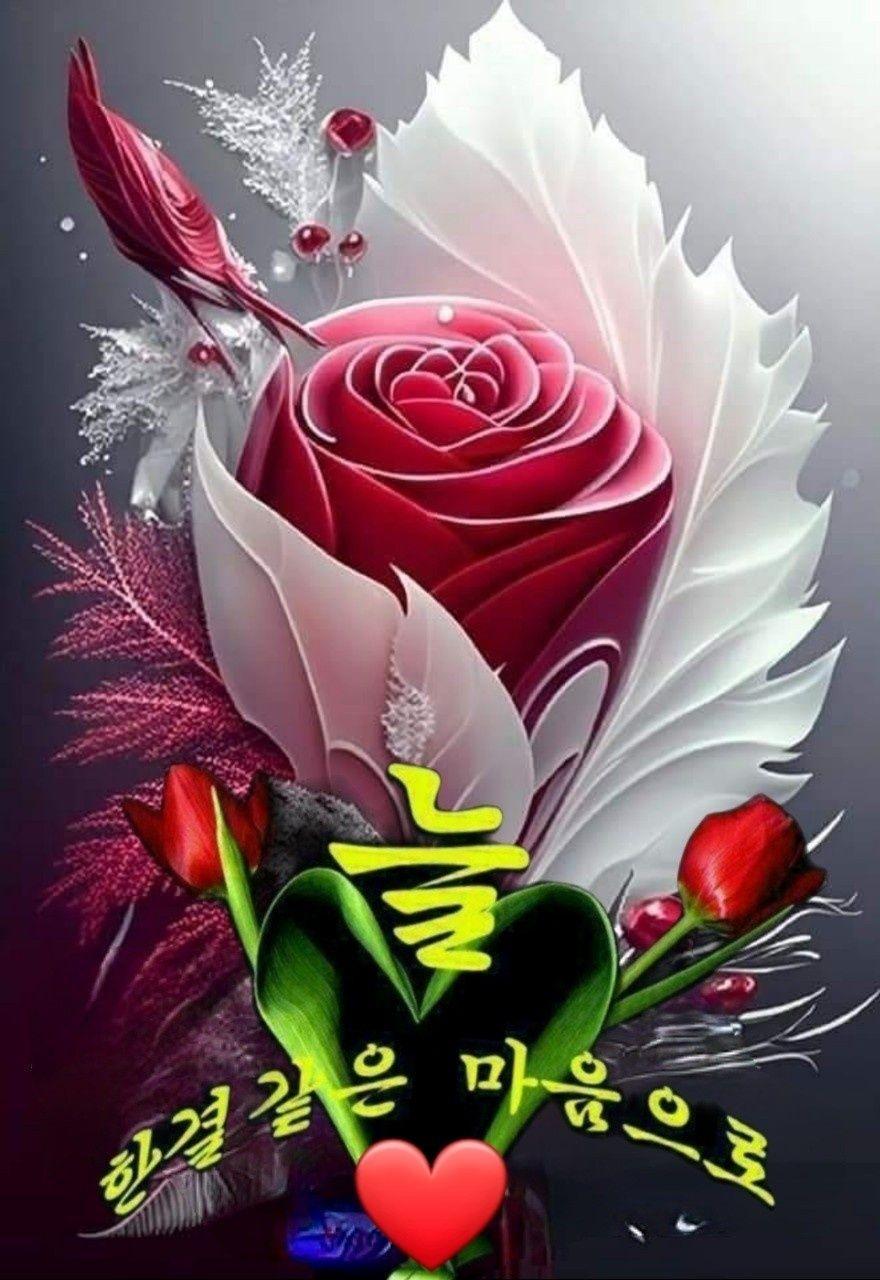 images/feeds/0003eb1842b86d2a5e94b3da2b69fb2f