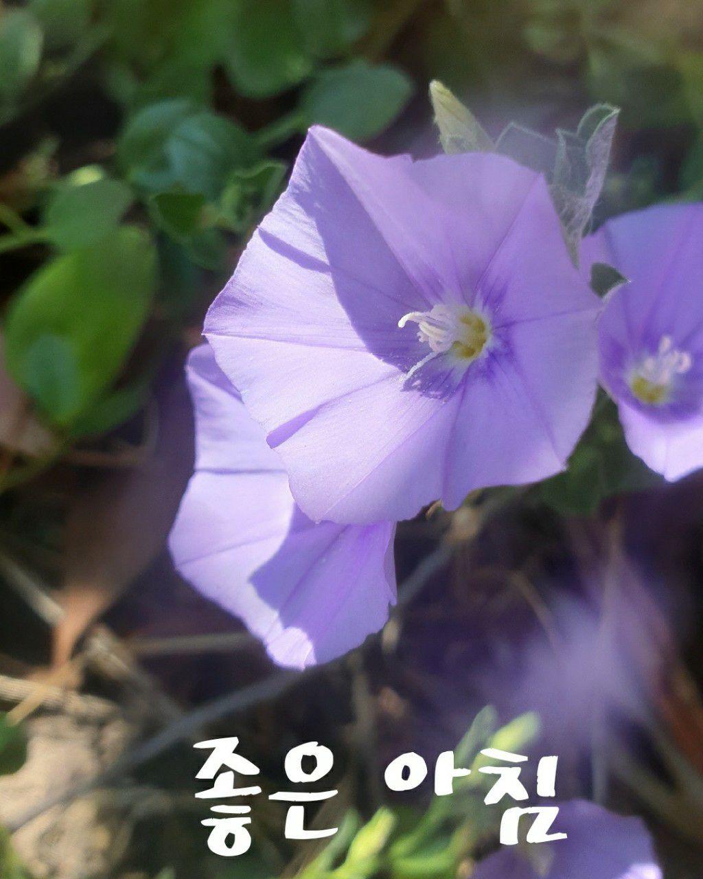 images/feeds/054f98e5ee4ac2edf5142b369c6f0f37