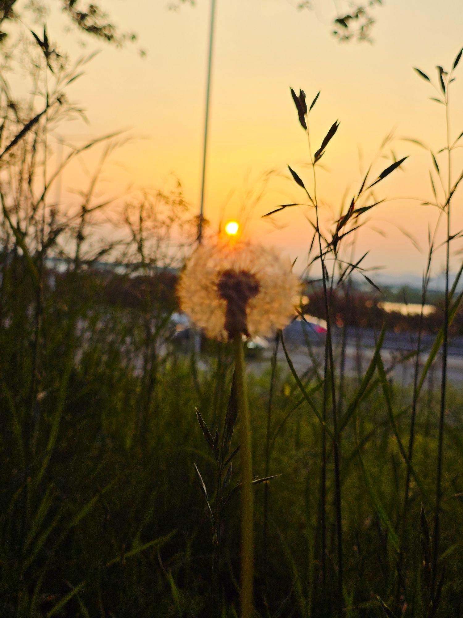 images/feeds/0e04c13ff7a84b618342df26af66fa71