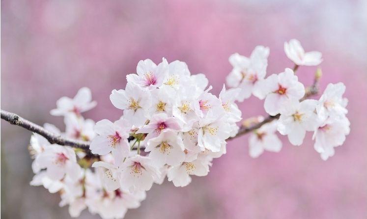 images/feeds/1a3f021764b744e5b4d99fd149477235