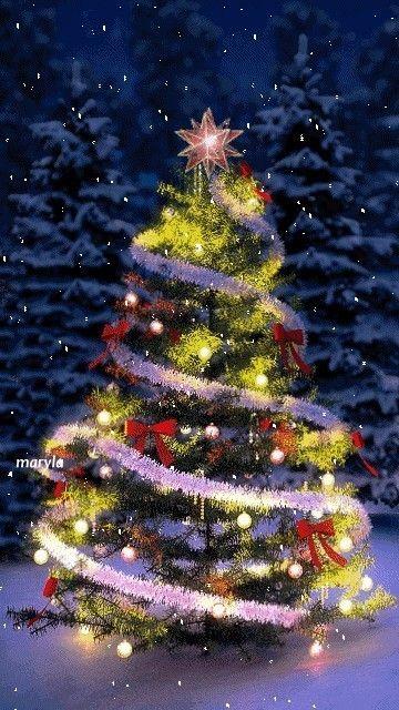 images/feeds/1de9597a978b419997fd08964357dbef