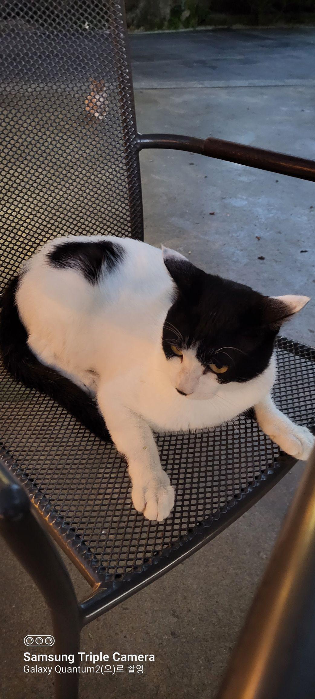 images/feeds/2005b47038e6444a80d06a03bb7c9a52