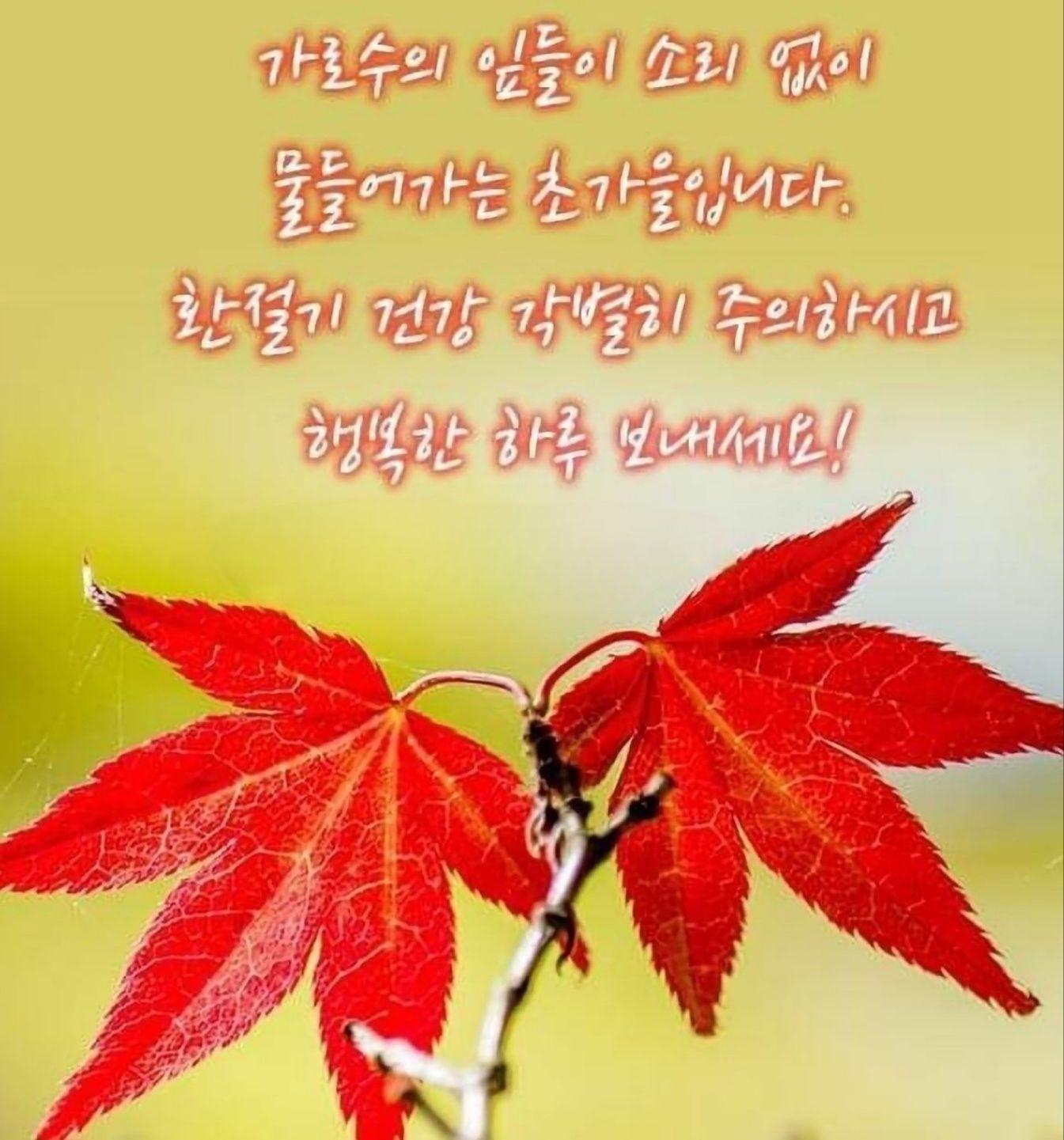 images/feeds/296e41f47ecc5d05d0fd5b29c63a6391