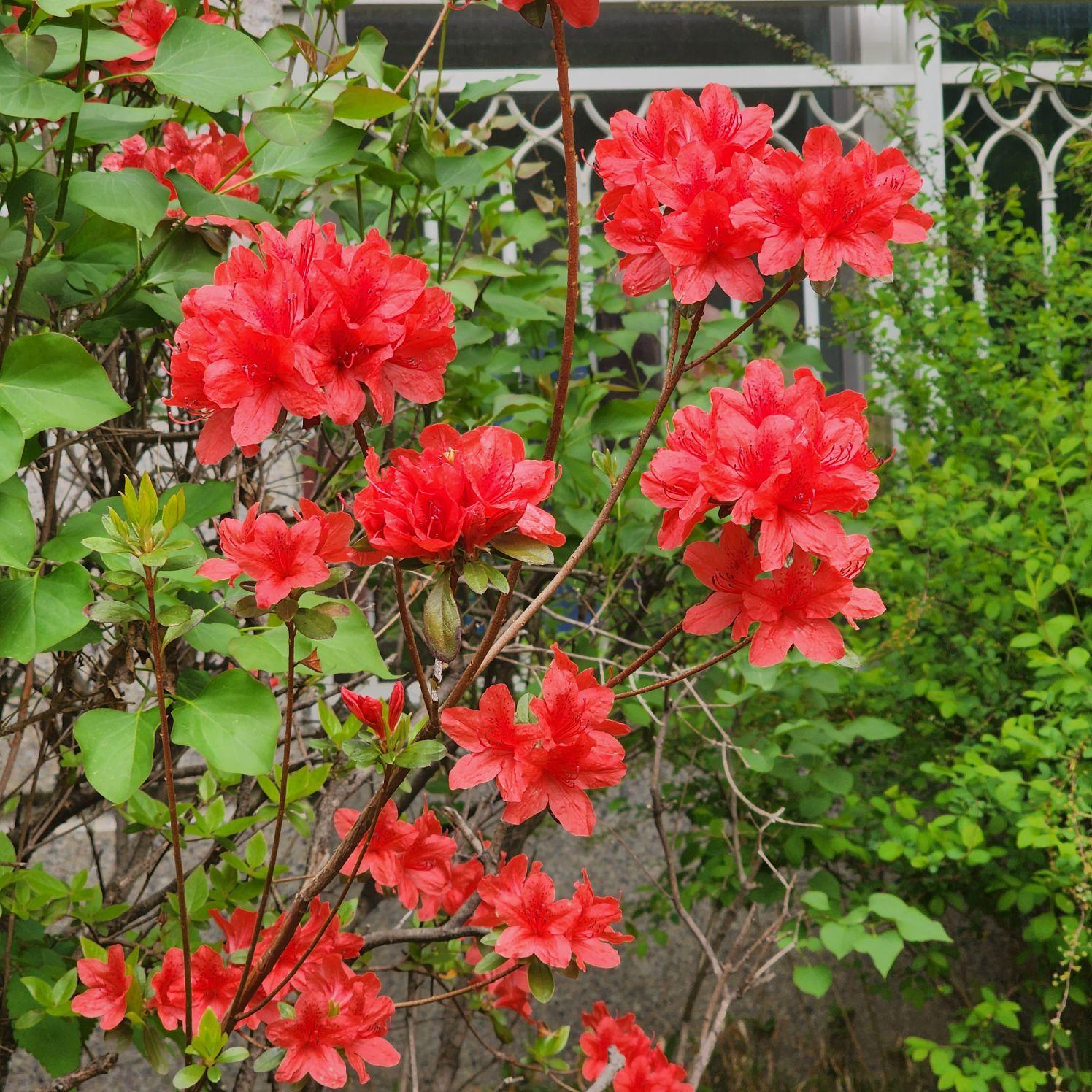 images/feeds/2ca30468f11010261afddcaffe14095c