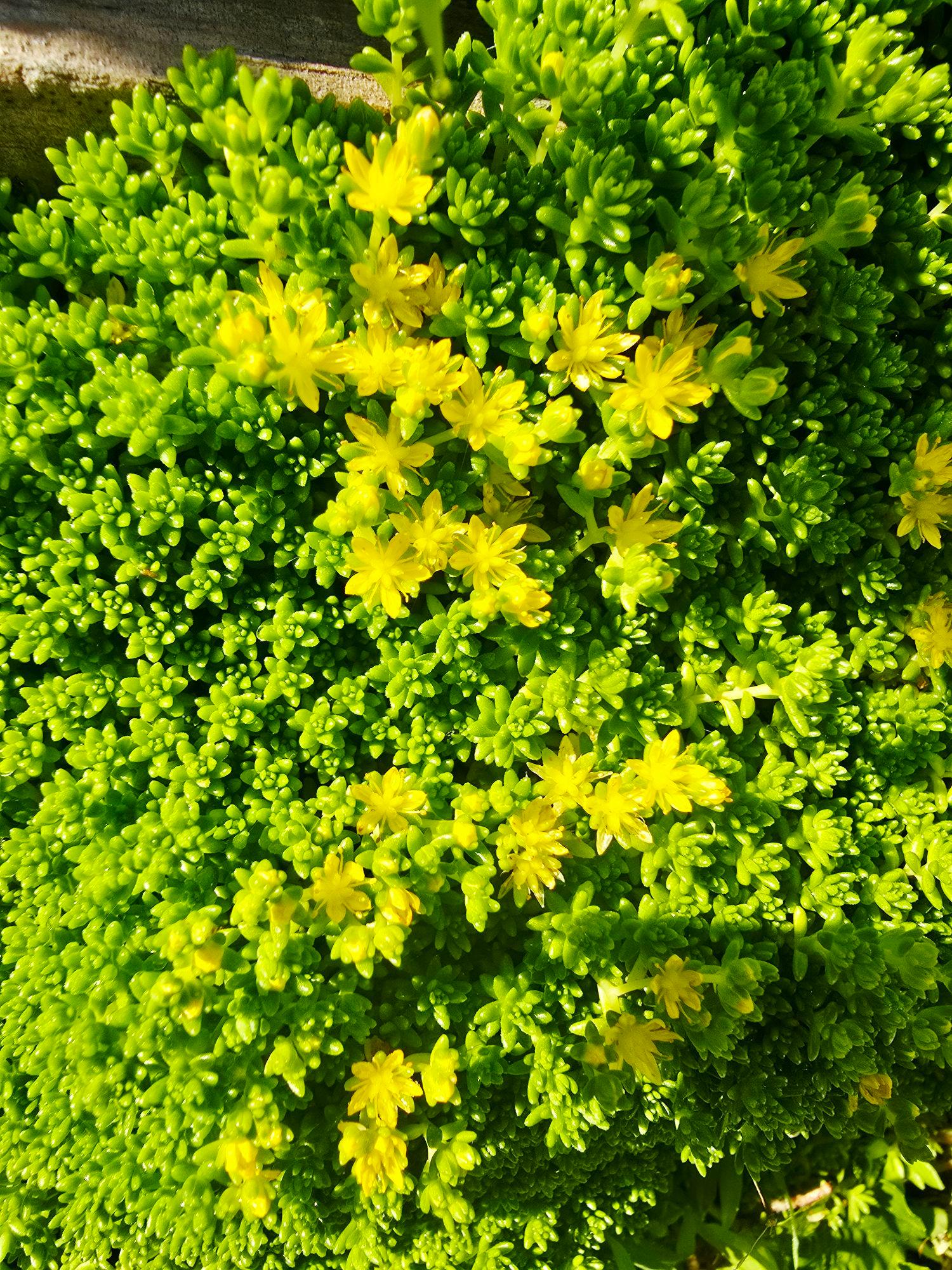 images/feeds/2d27694c4b784d3bb85a86eeac8a7074