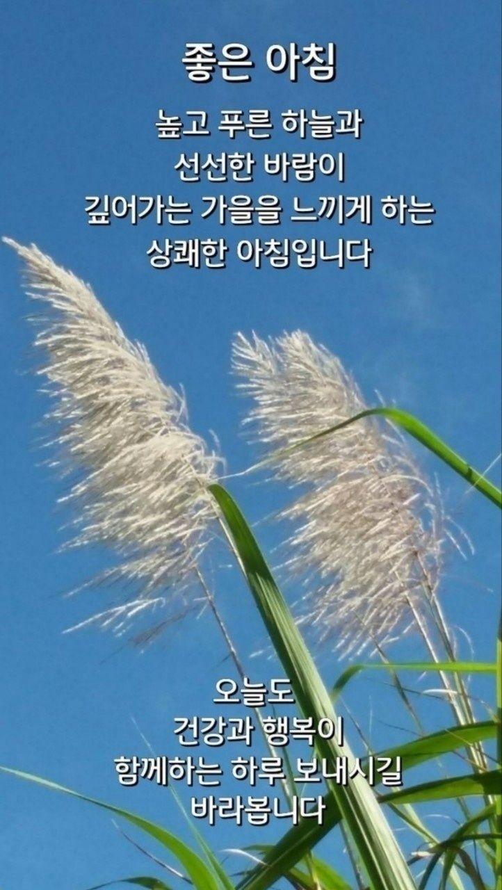 images/feeds/2d489f09ba4f4b3db2313684eda8ee85
