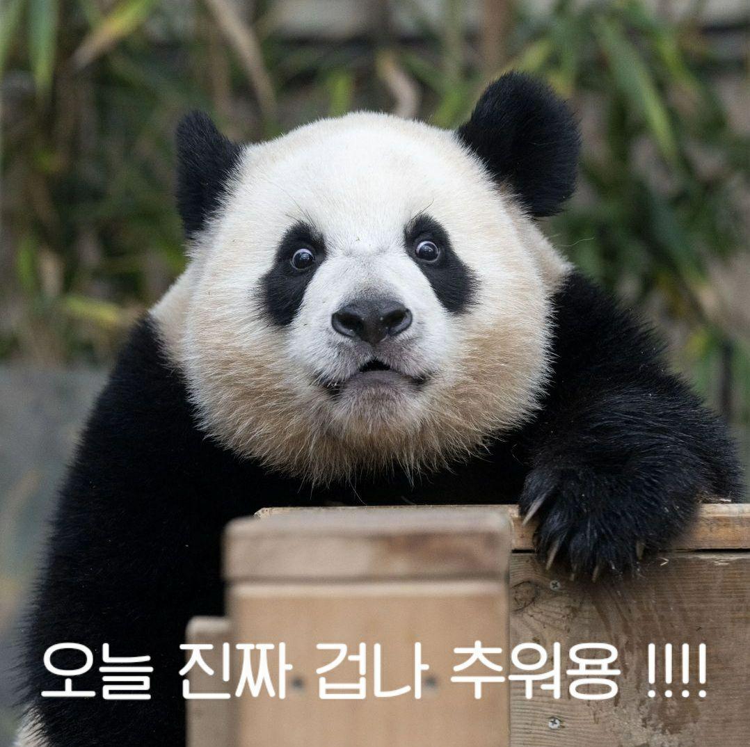 images/feeds/2d881fd667734e9fabfcf0a4e3505e92