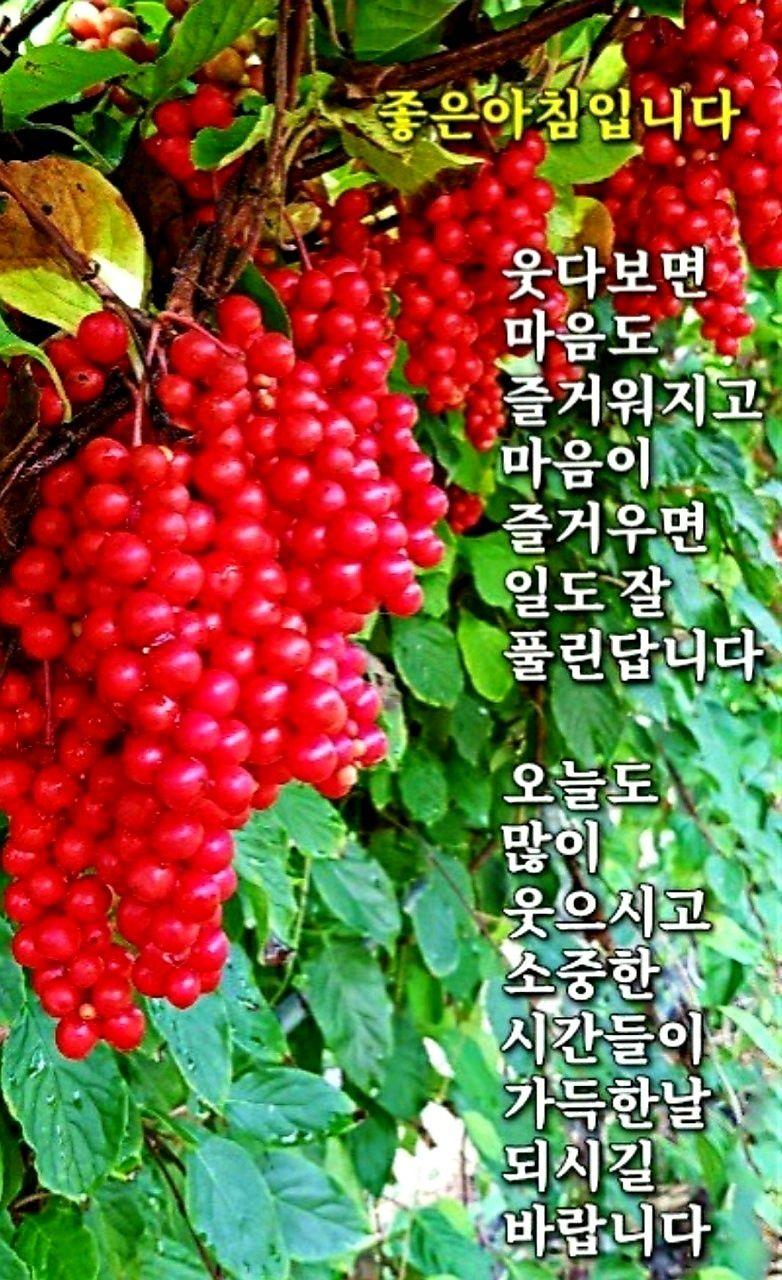 images/feeds/2ec065ad2145a021a07a50a85fb58d16