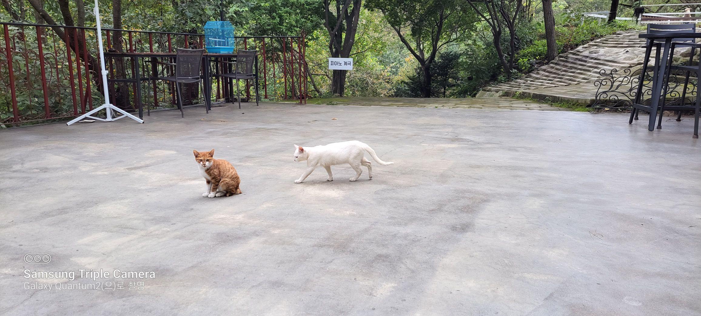 images/feeds/343a6e60c36f44568019c5a889b199cf