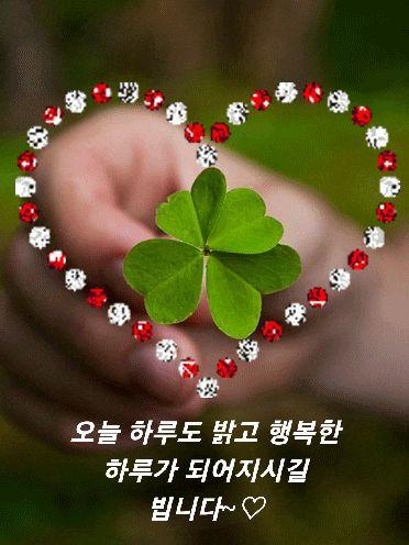 images/feeds/3788ac0cc2c12788d5da089cfb5d367f