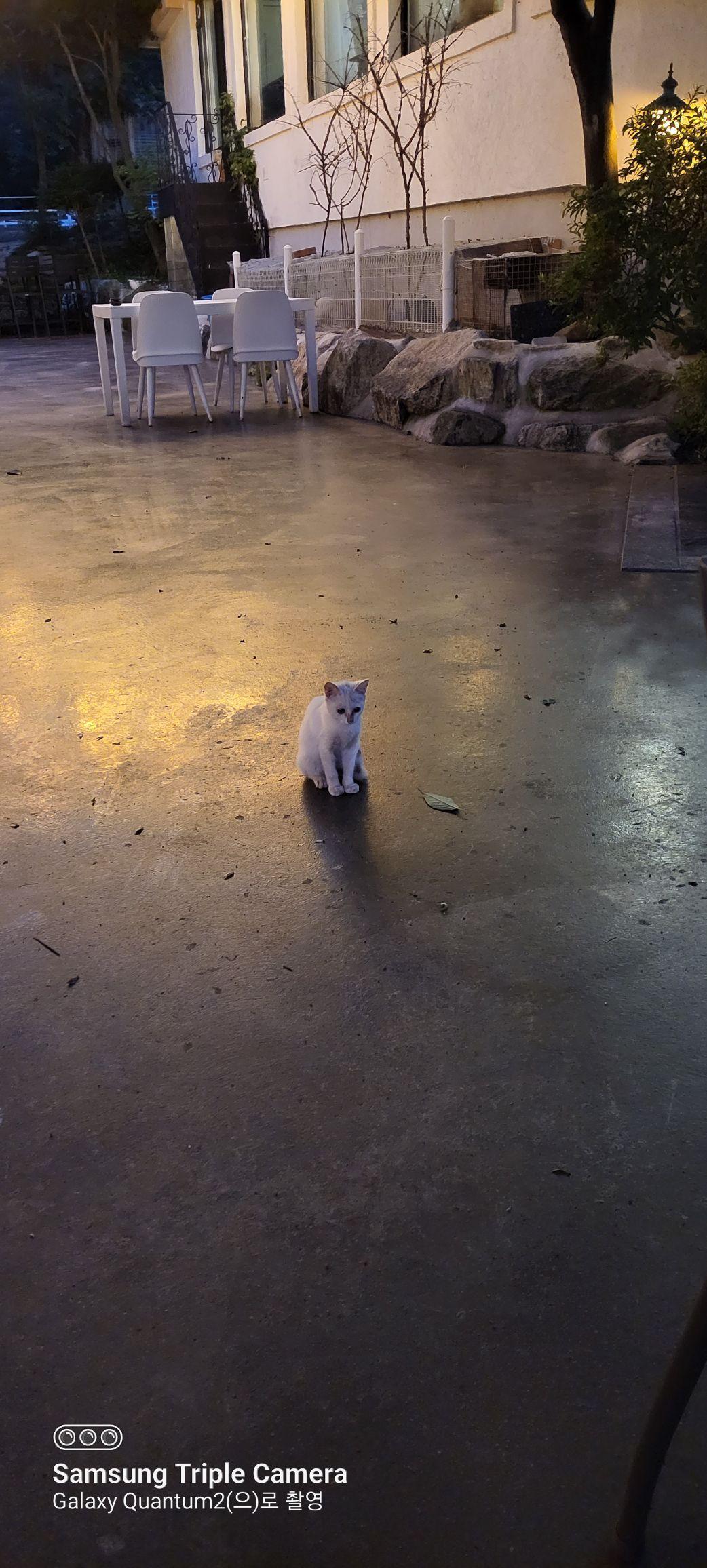 images/feeds/3b26715ffe5447a4b4bb57229d3d3075