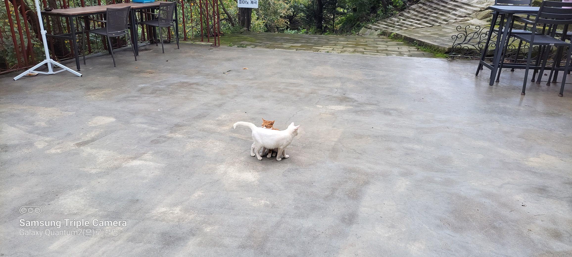 images/feeds/3bf810c6adc3495d9518fab2baaa68e9