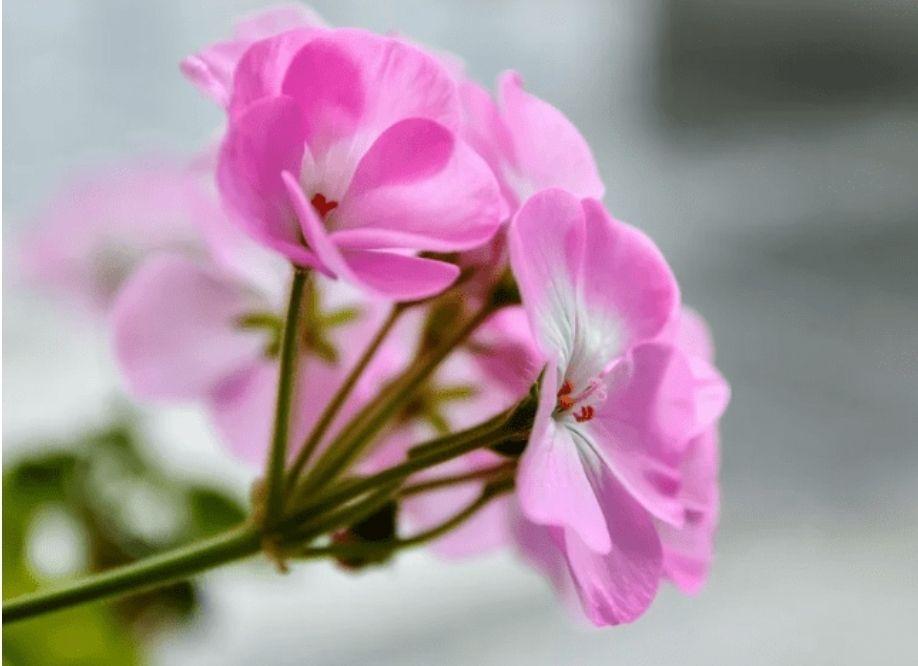 images/feeds/418c607bd77c7bd88ff08cf74ed5cd21