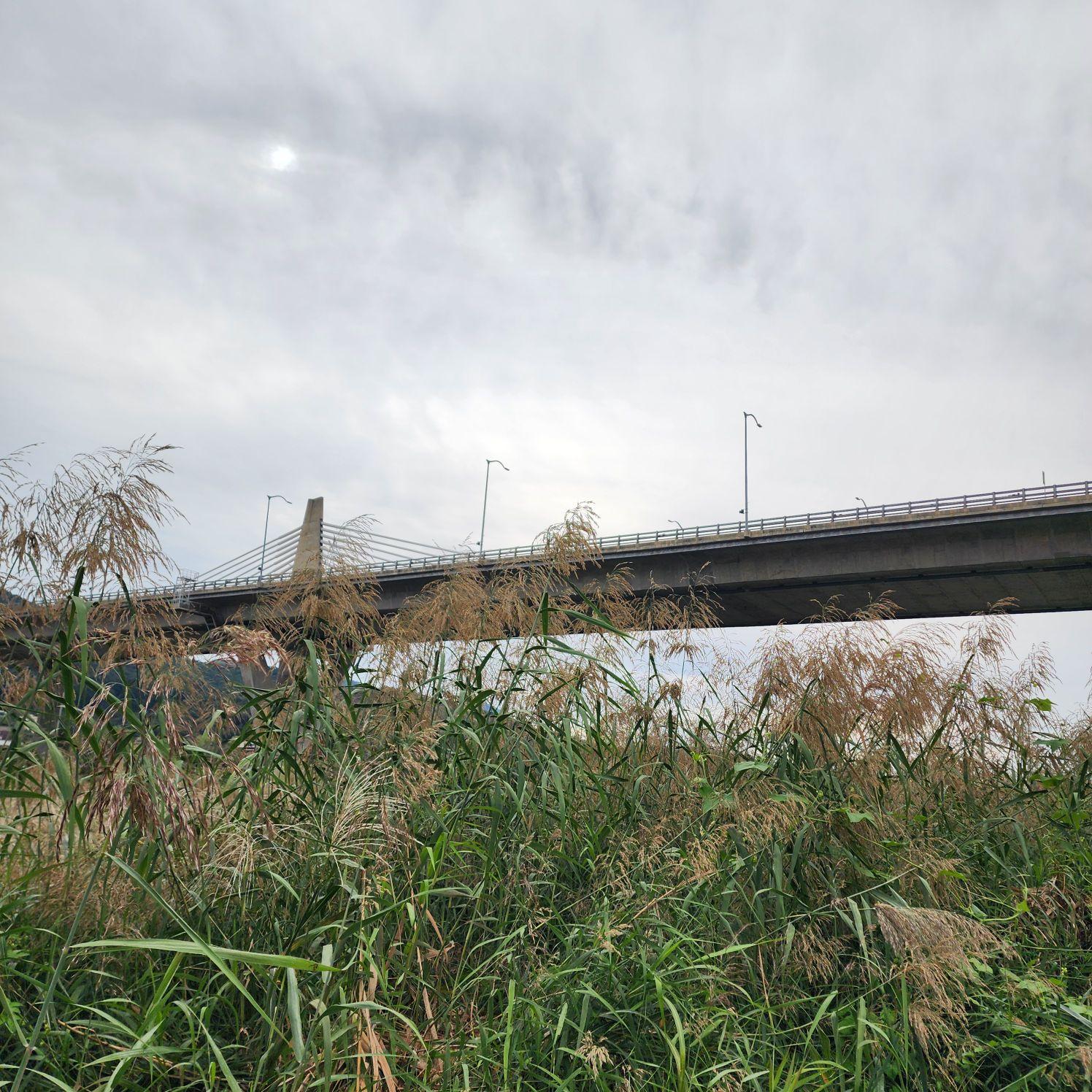 images/feeds/419b2c676e794dcaba4cbec852f64aac