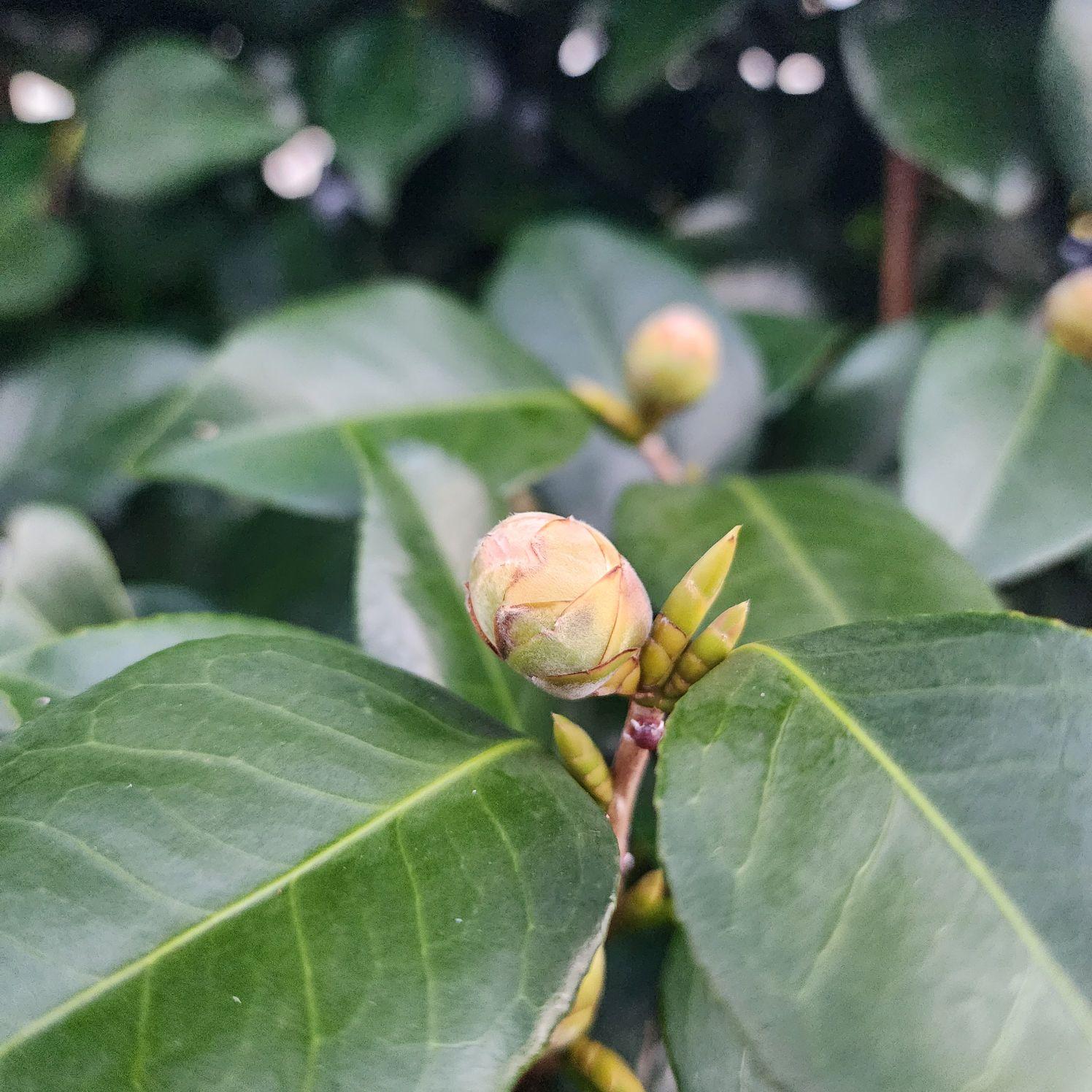 images/feeds/43154a73a5ee40d3b815b3aa80e3d56d