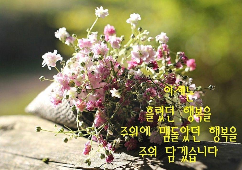 images/feeds/46f06a57bb3349cc9c14397eefd863c4