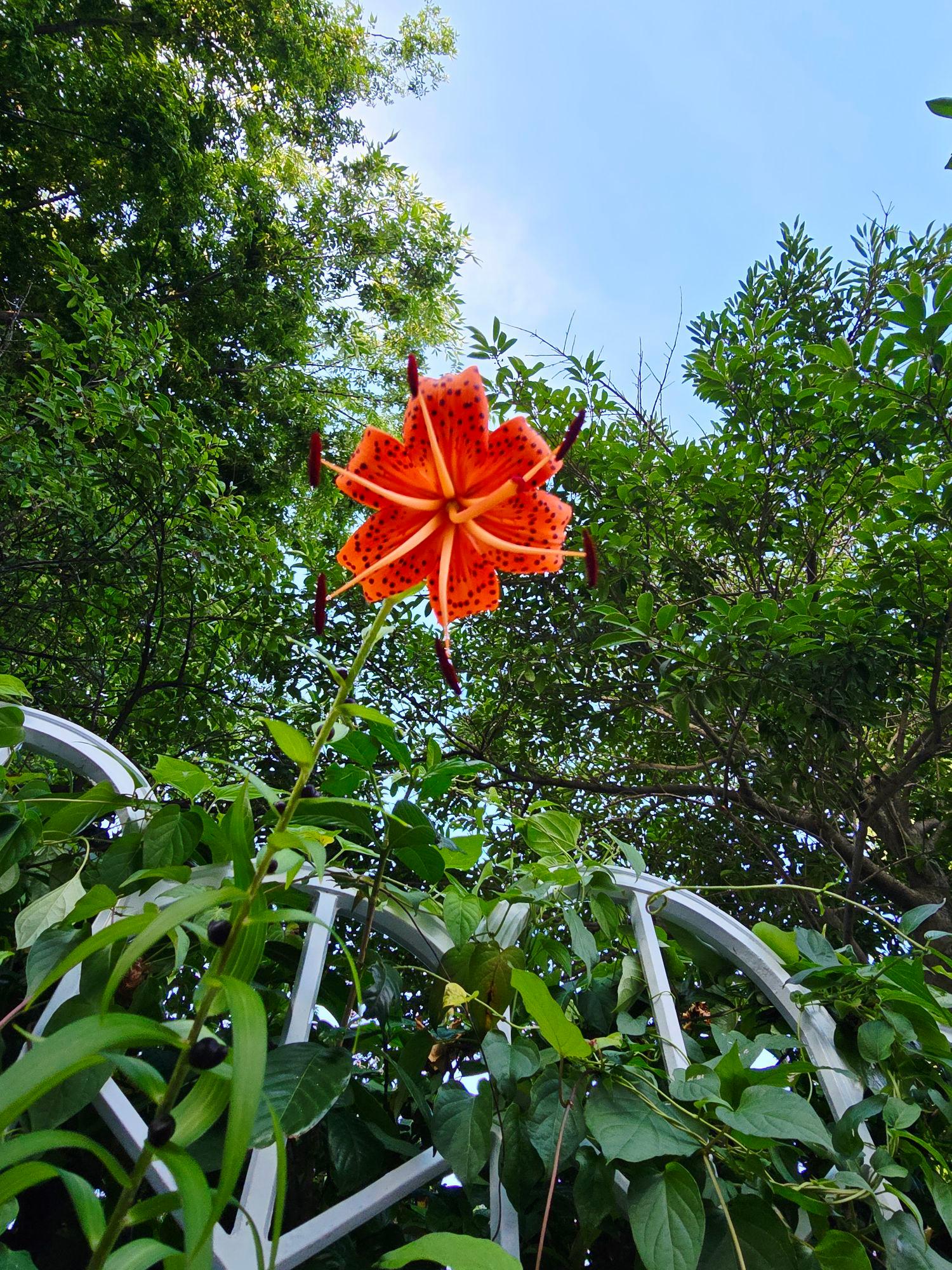 images/feeds/47381bcea1684f4398432a62dd1fd994