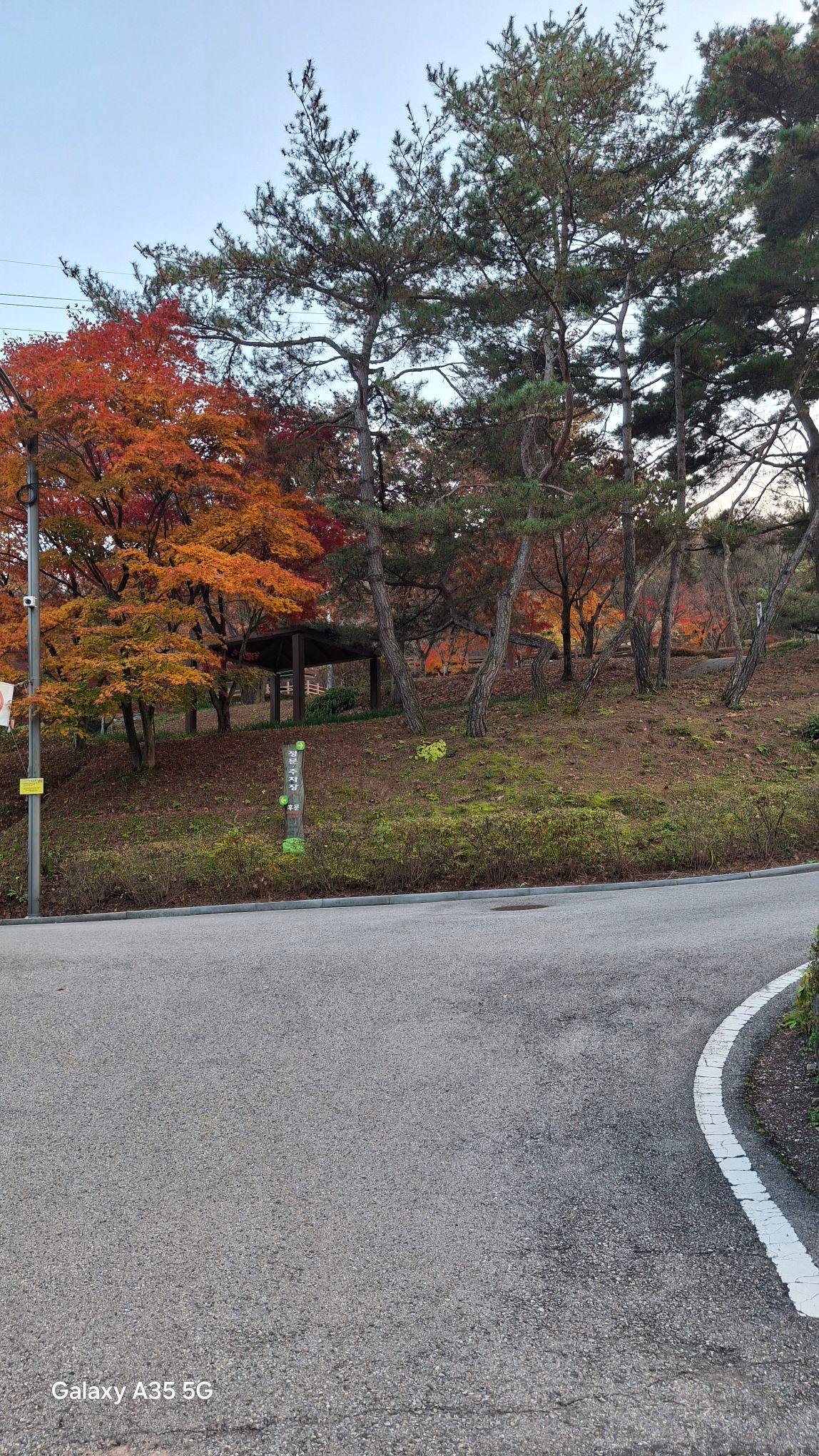 images/feeds/5340a6aa020642edb40a8557387846fa