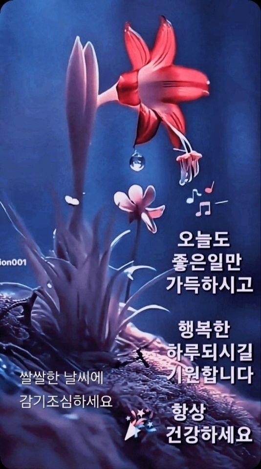 images/feeds/581d1de93cbe46c4bd9ebd4853d60b7f