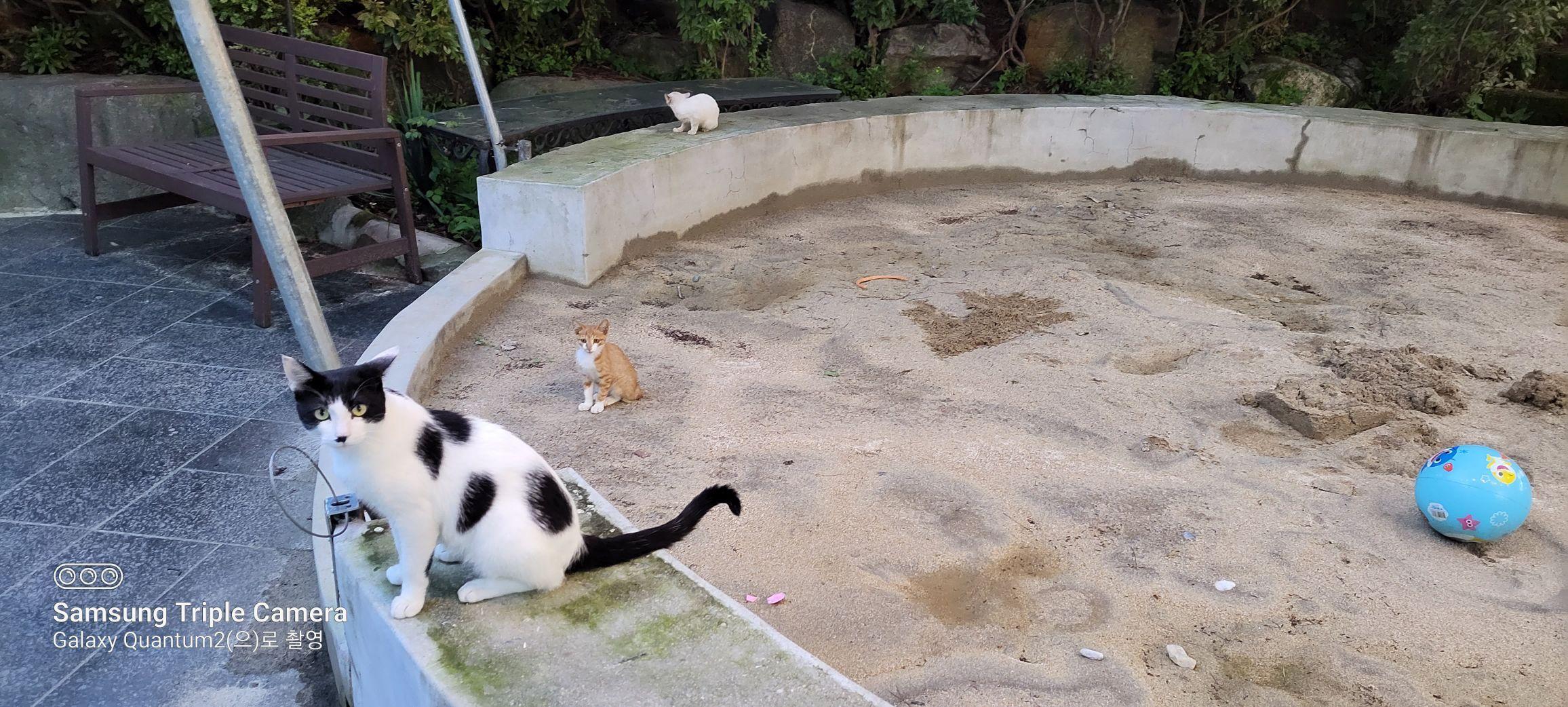 images/feeds/59bc49e70c5f48929acae3ad99c98d87