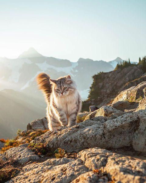images/feeds/5b97c64f849412e92480e97e3707a695