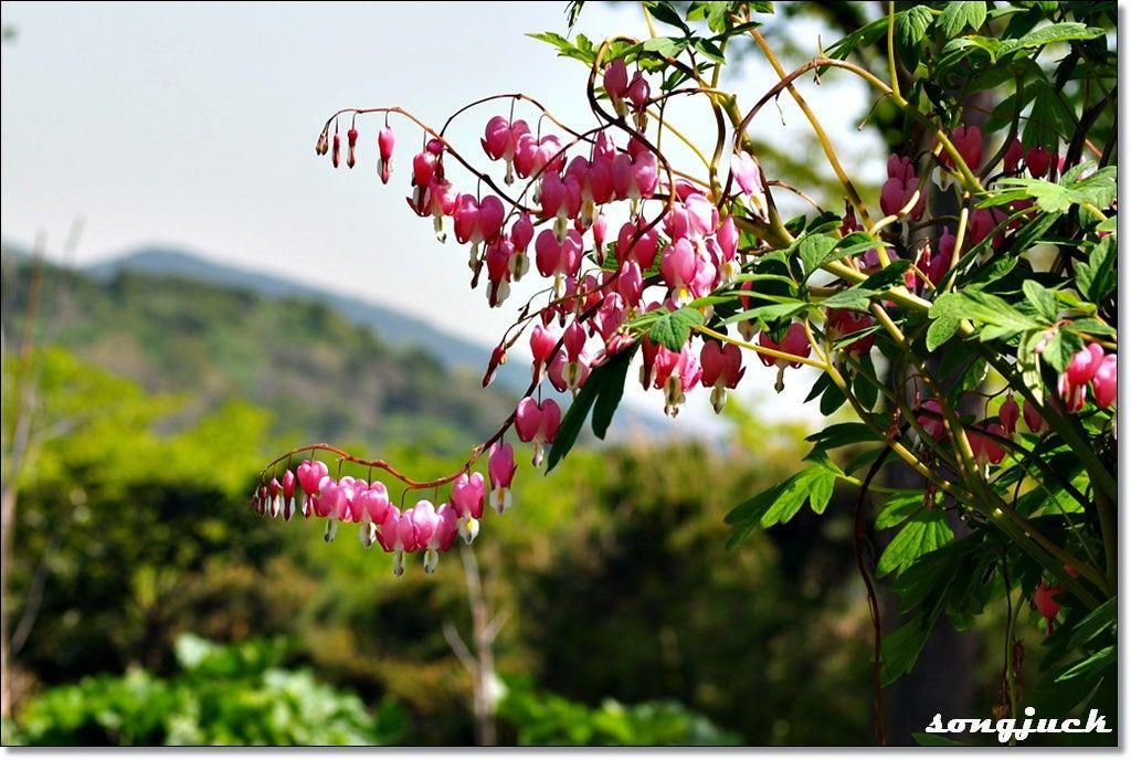 images/feeds/60db22c86c694a229f32bbc1f87d9fbe