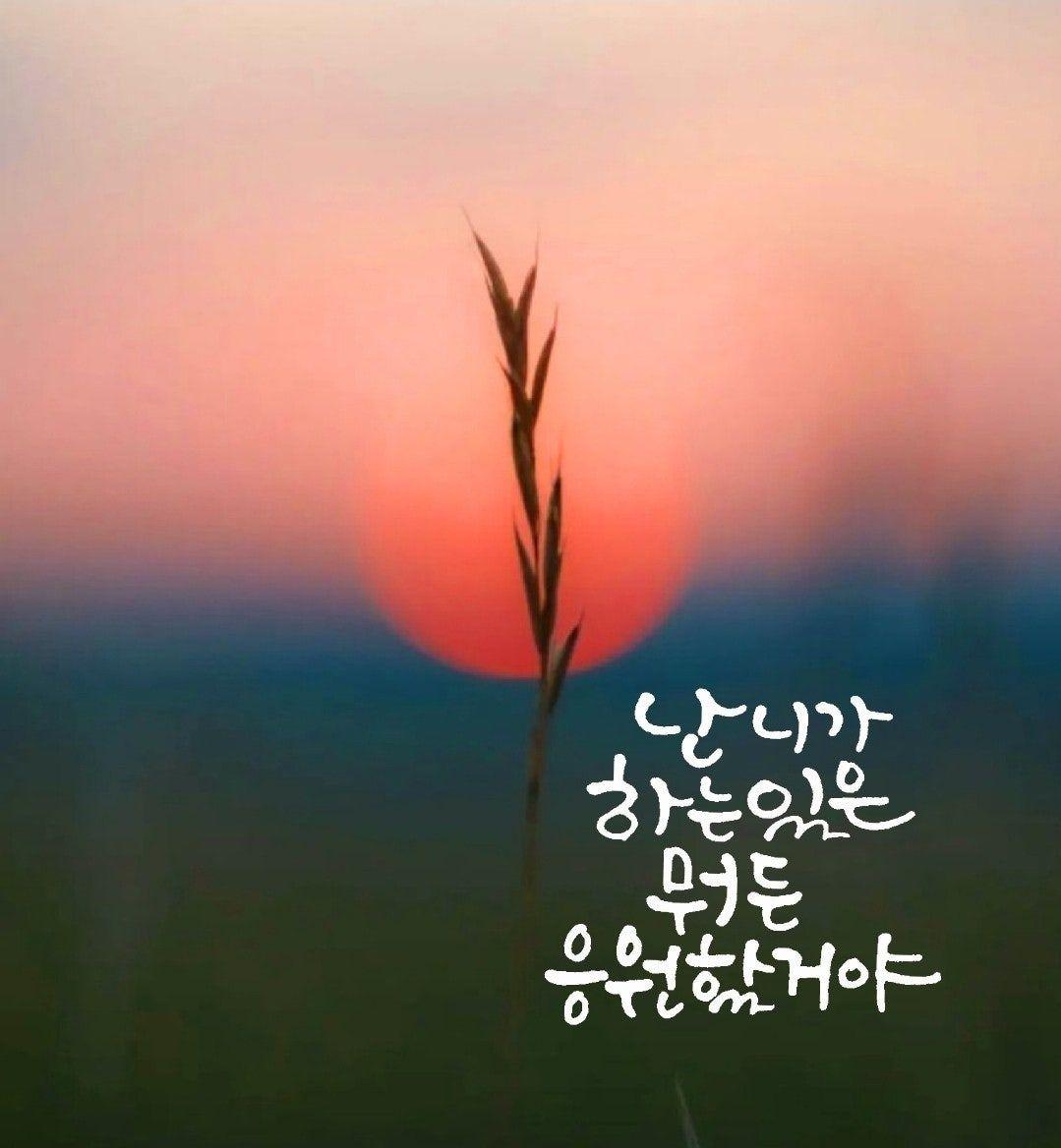images/feeds/62b354265fb04262b08aa3f6c49c86d2