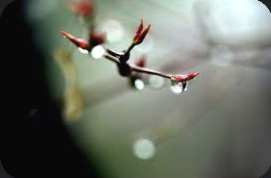 images/feeds/6513ba49c1a2456e964b002bfacd8909