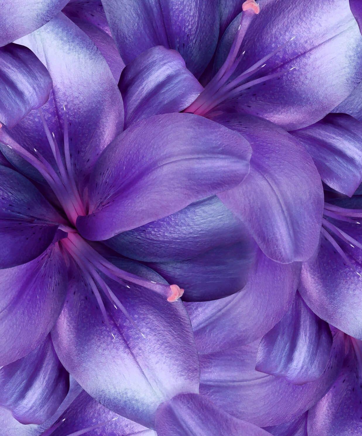 images/feeds/6792c1f3d77acdd532d397c906921f22