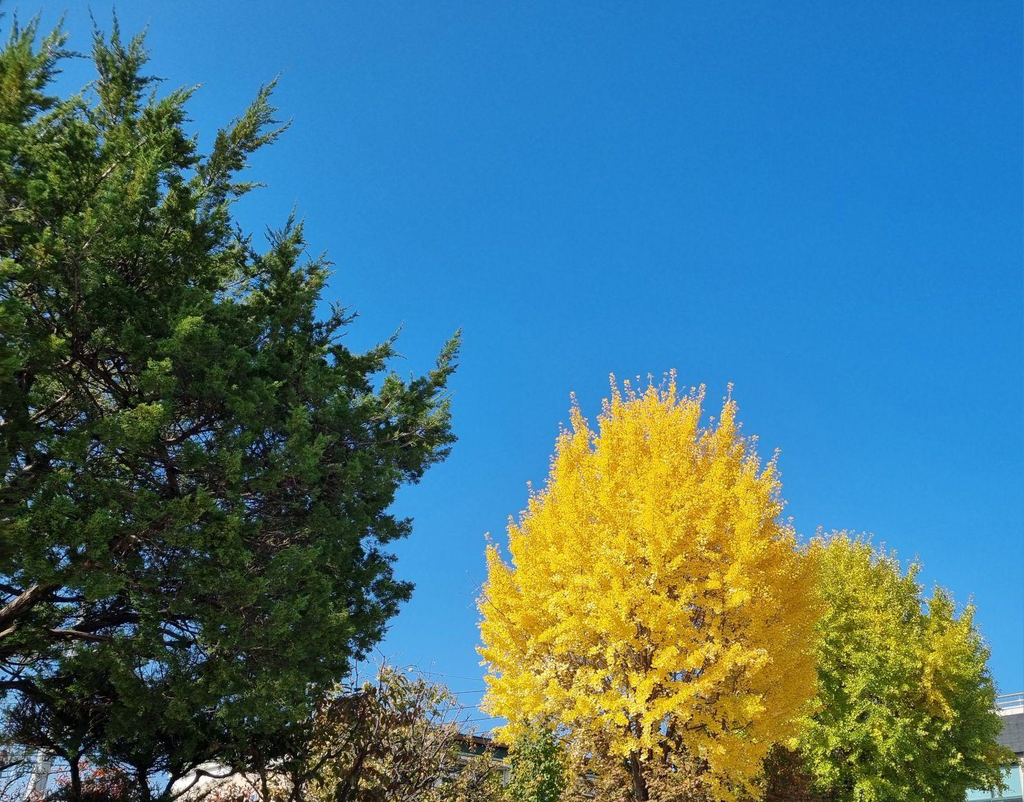 images/feeds/6a07d2479b9d44d88df2fe32c130fac6