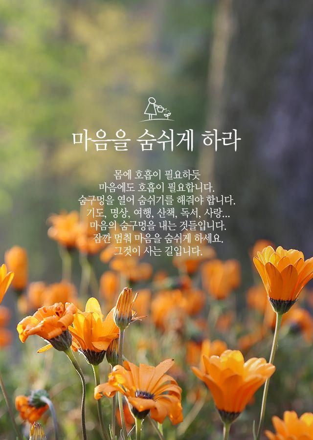 images/feeds/6a18d773071a218ce03853d966998b47