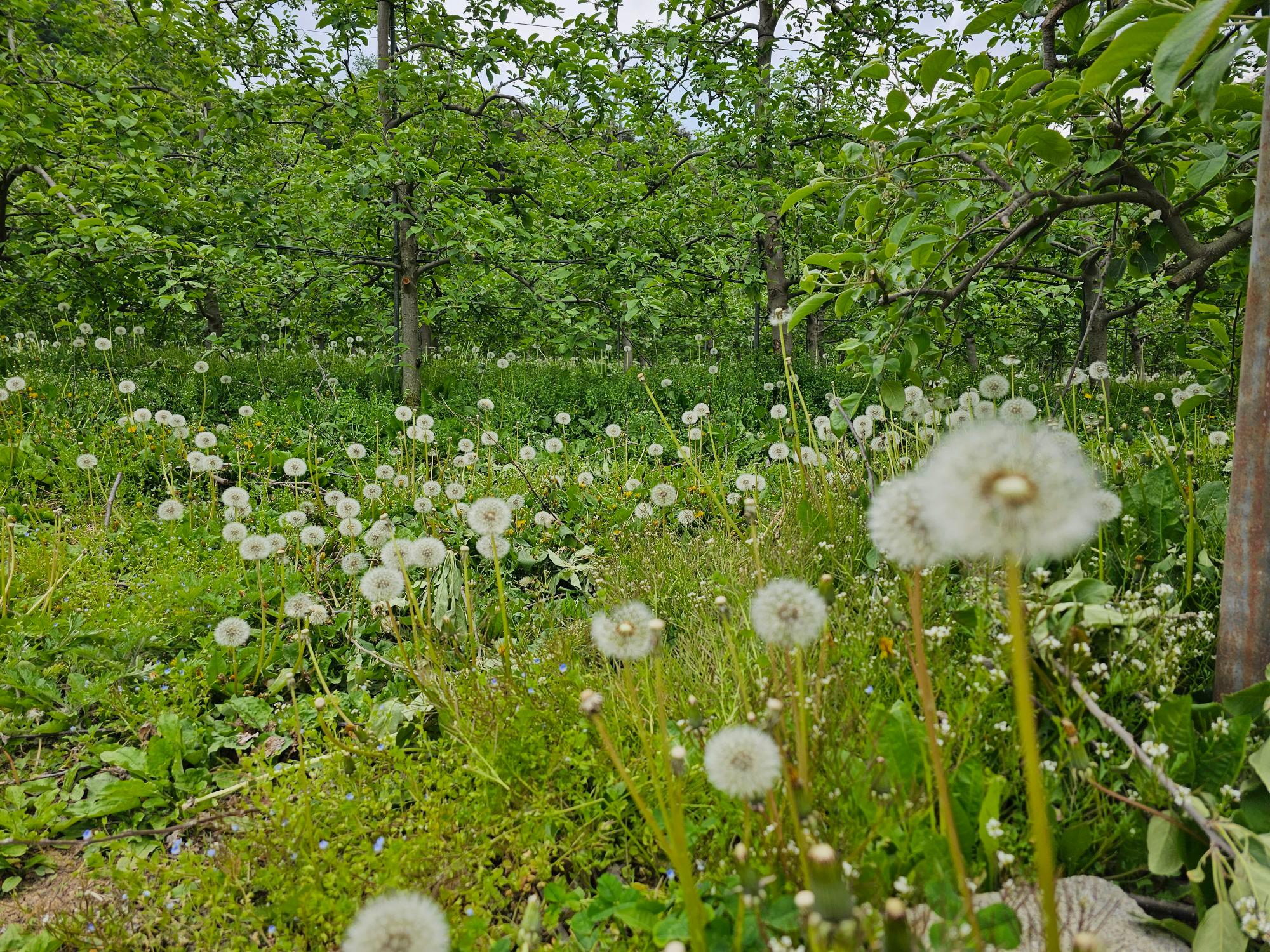 images/feeds/6d0034bc058e41e08df503ee5559418f