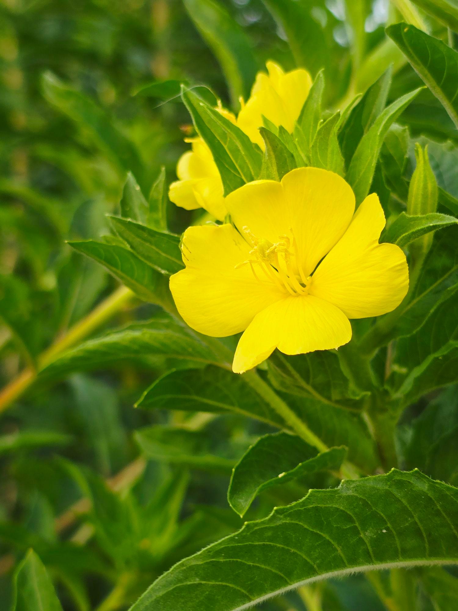 images/feeds/6d27323f07854bb8b1ab3bf38cb94aa8