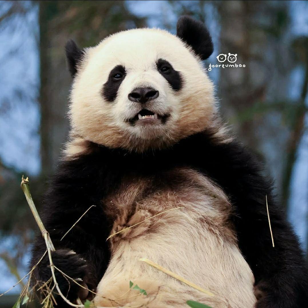 images/feeds/6f6fc5bc02764a628f9a63c6e112c592