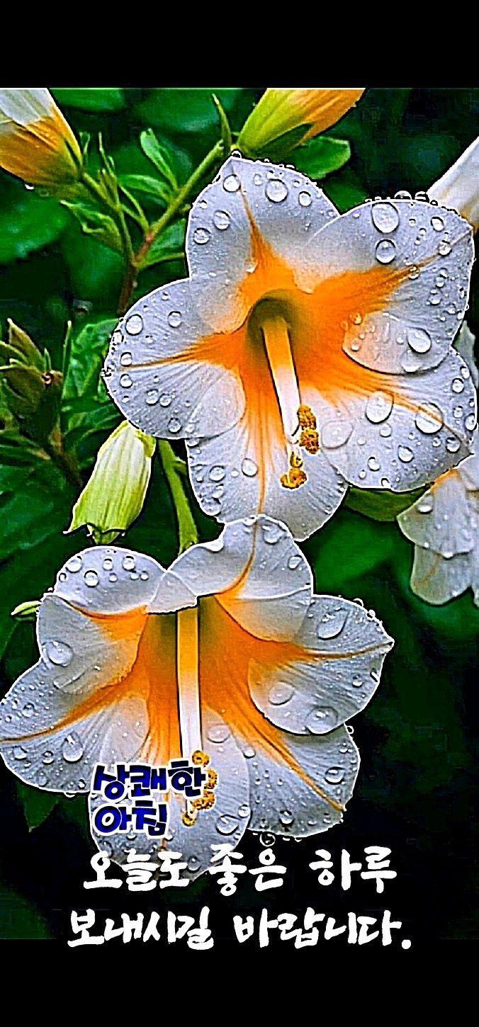 images/feeds/6fb9f40681f646e2b4a70c548a6dc8a6