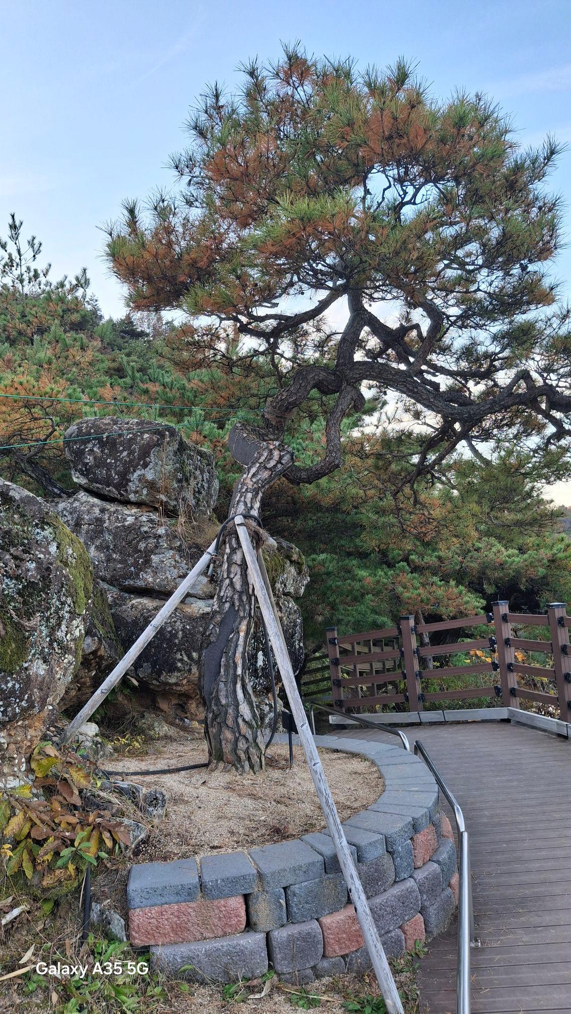 images/feeds/702454b8b1fb4f95a3665402bc92275e