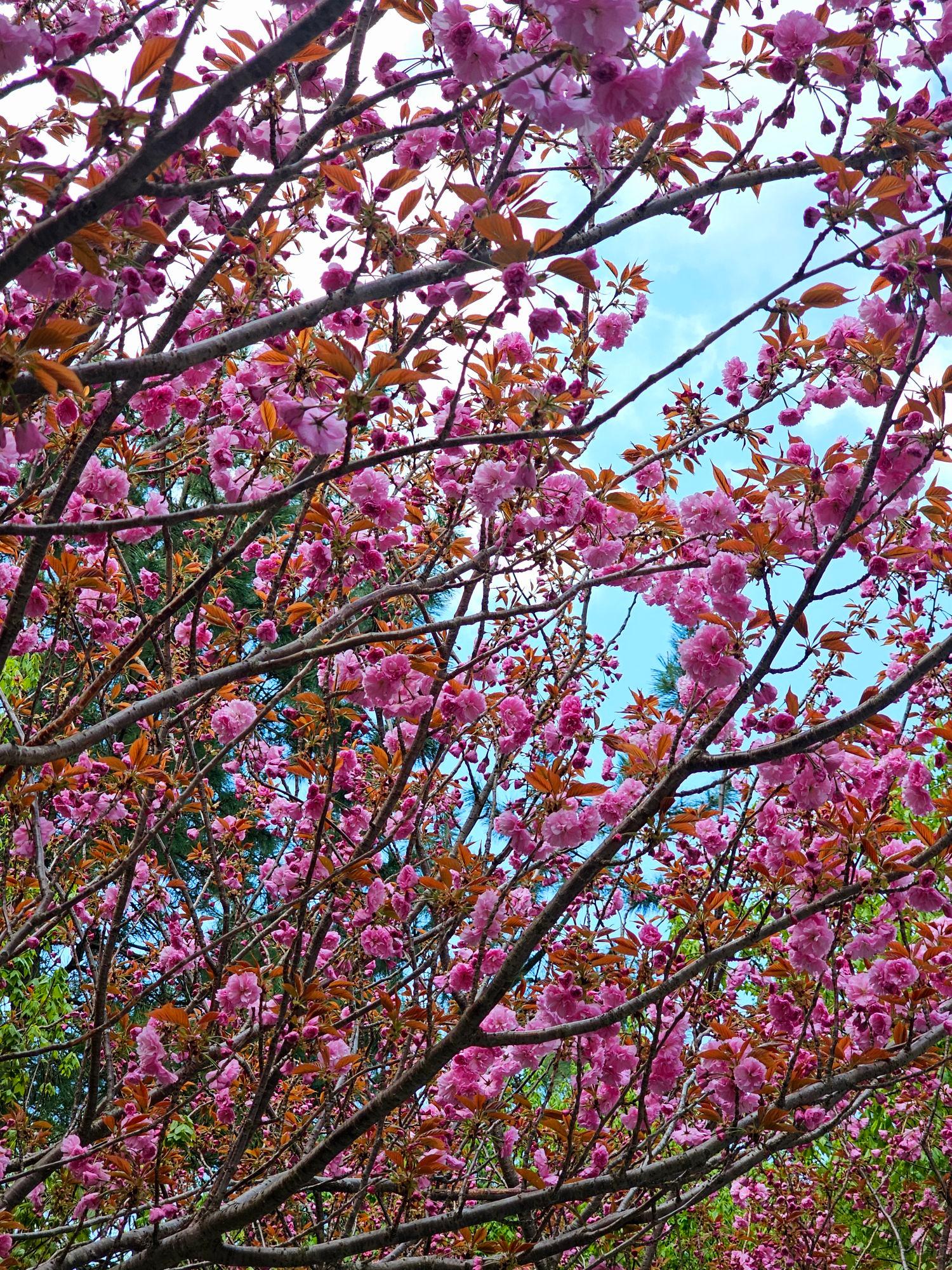 images/feeds/724f4118939e42d8b0d4a80b0443e446