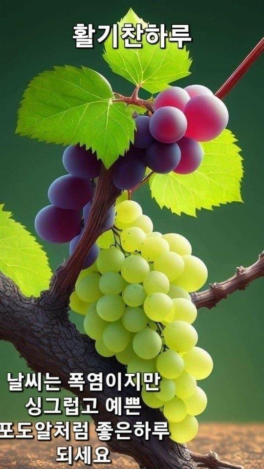 images/feeds/74c942b204a44db9bb5a07a37ae191cc