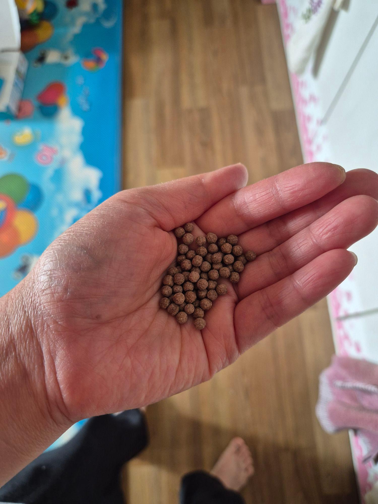 images/feeds/78347412864c45eabed77443f3d8cda9