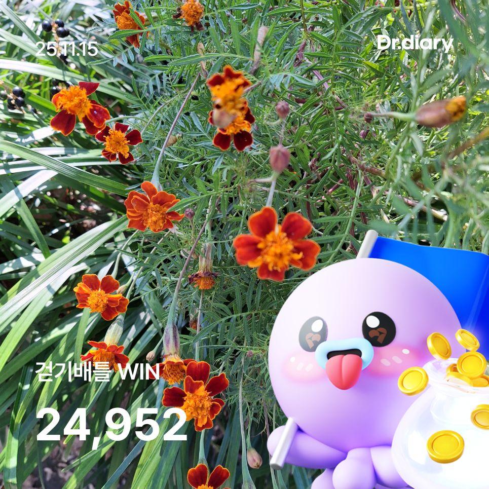 images/feeds/79a67c60d11747e9aa5bdc4d5611b442