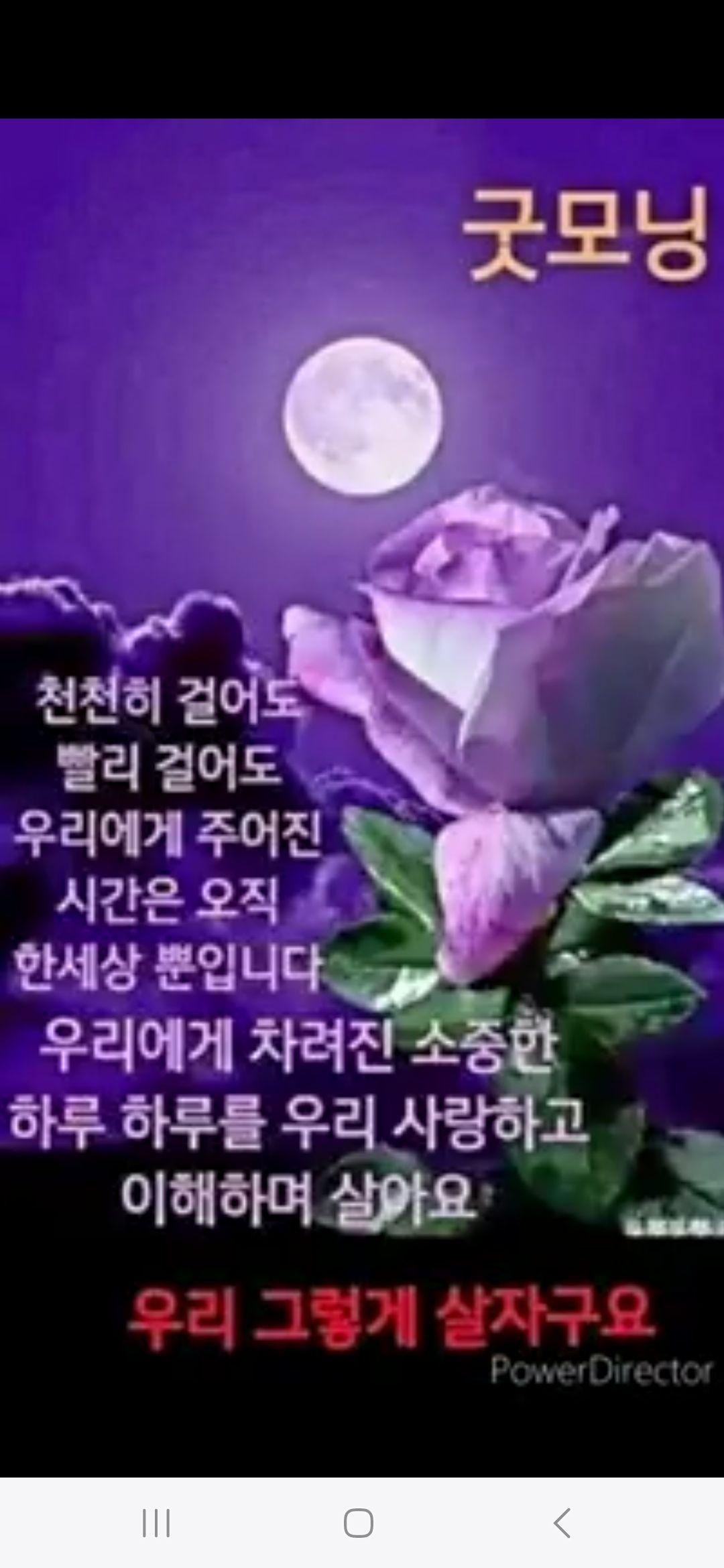 images/feeds/7d3d189d5a483ace3edee6aeb8851aac