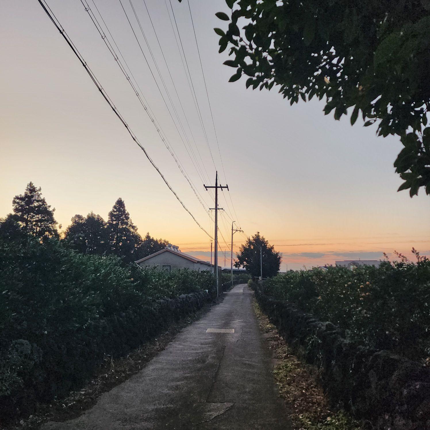 images/feeds/7e7180b5fe0d4543bc32c52cfbe5f39f