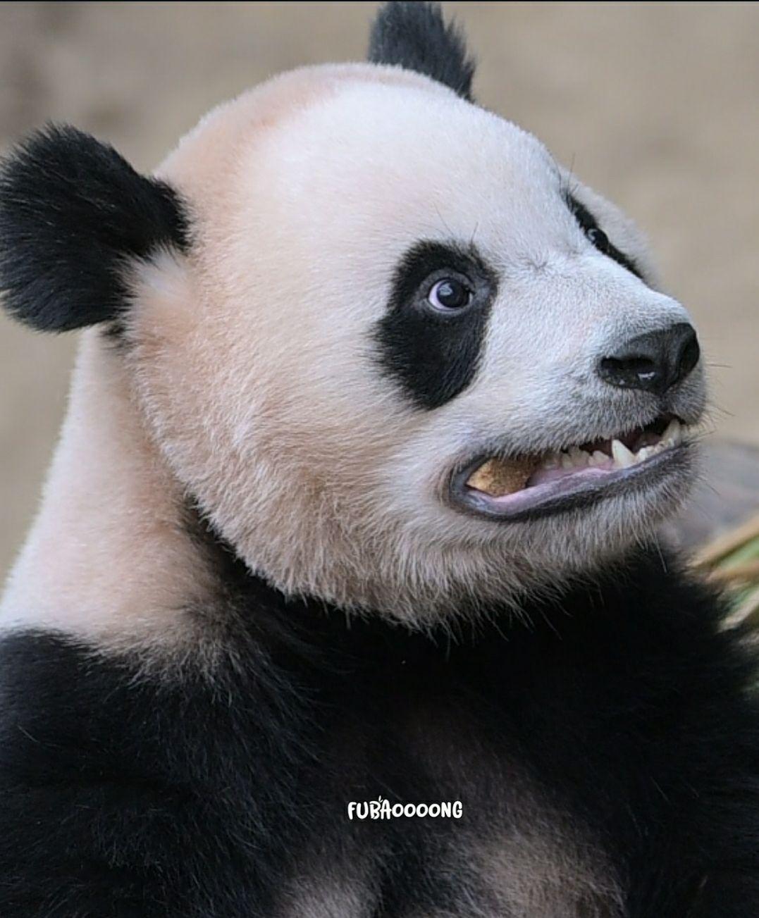 images/feeds/8096326844f048c9aa0f90aa0ca393be