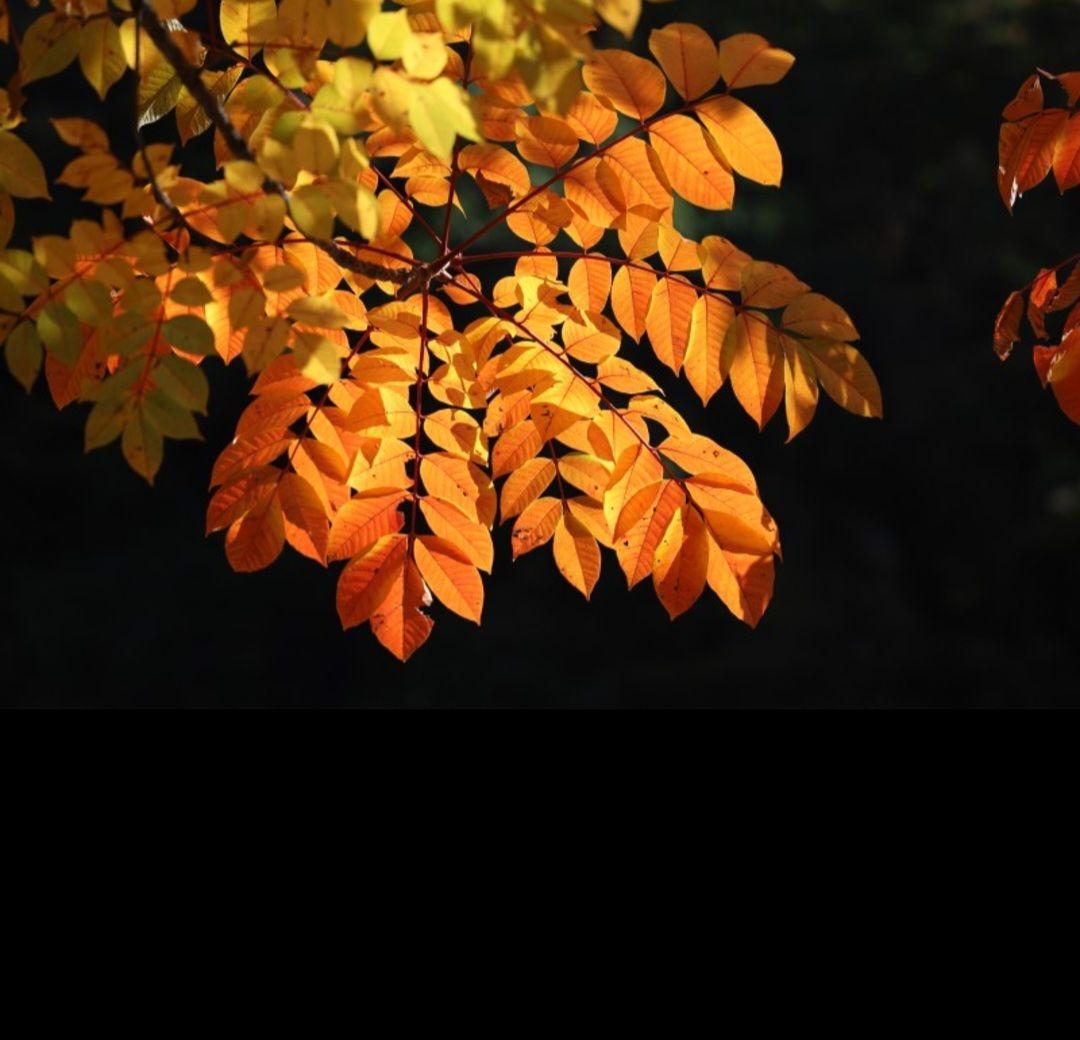images/feeds/8221049ded9dc7be2c564a0476eb3956