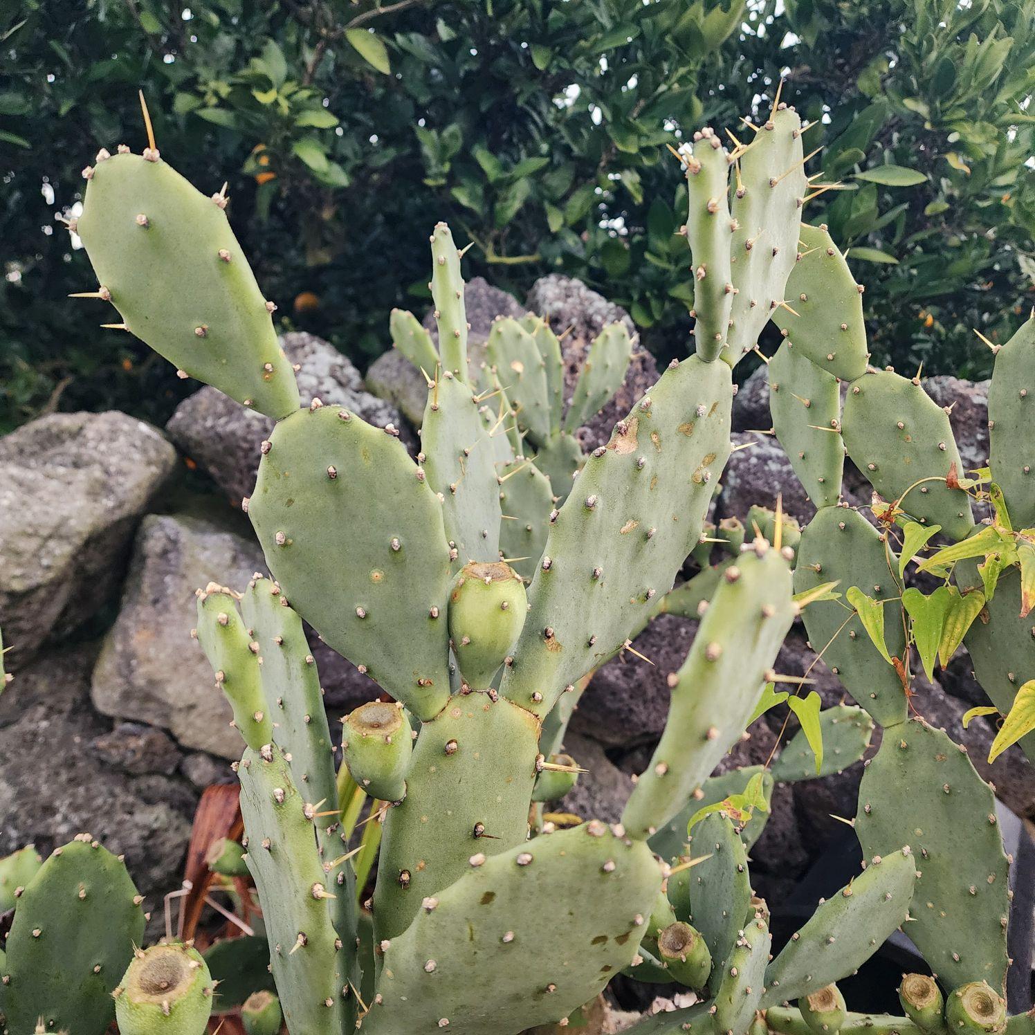 images/feeds/8722cfe005f3465c9651e0e1c4aff981