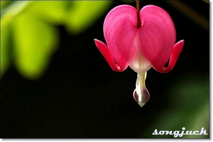 images/feeds/87f401bdc9ce4556b16a51a8be1d4d24
