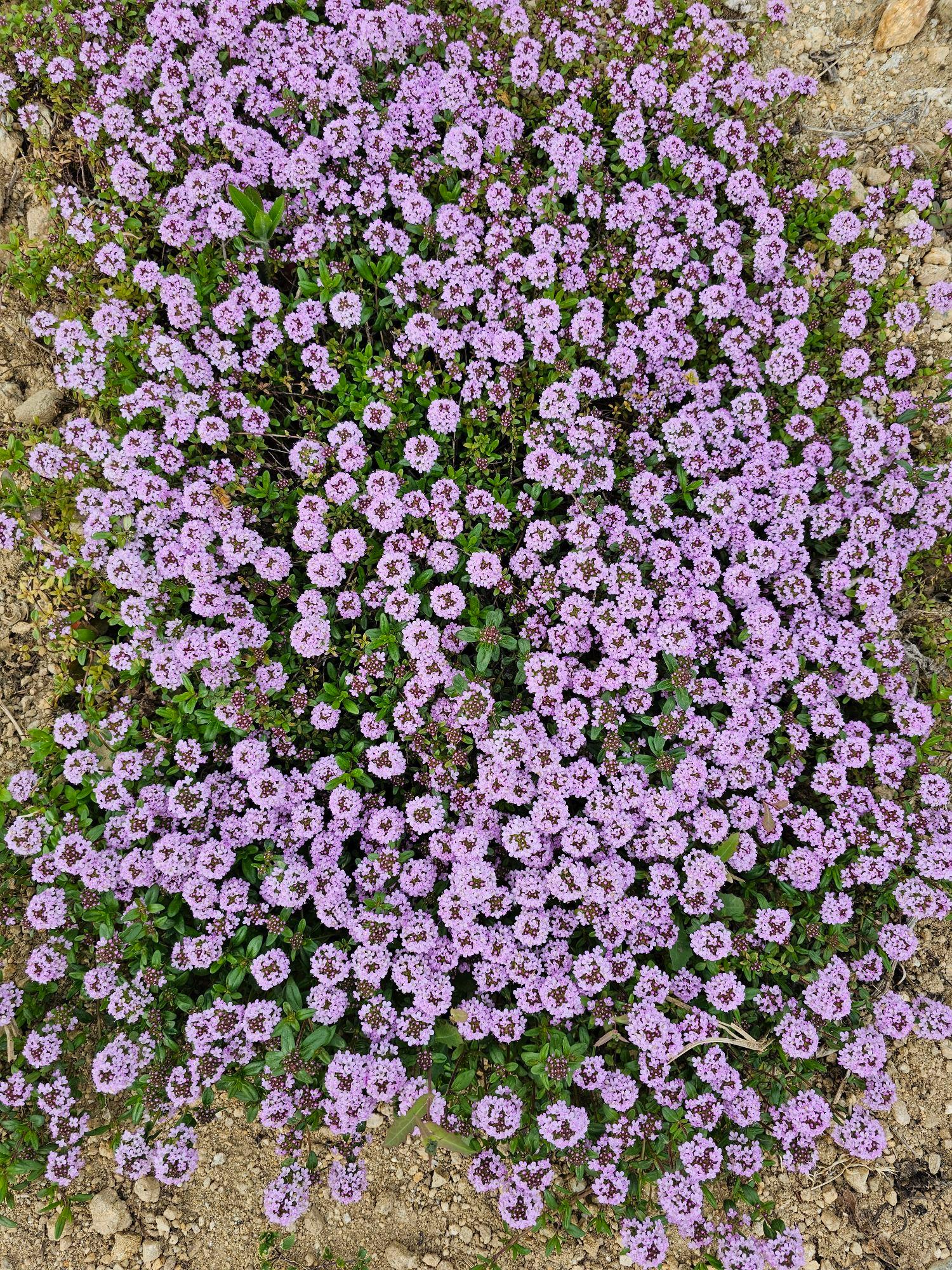 images/feeds/9452d228801bf4b694d4670639b1a9ad