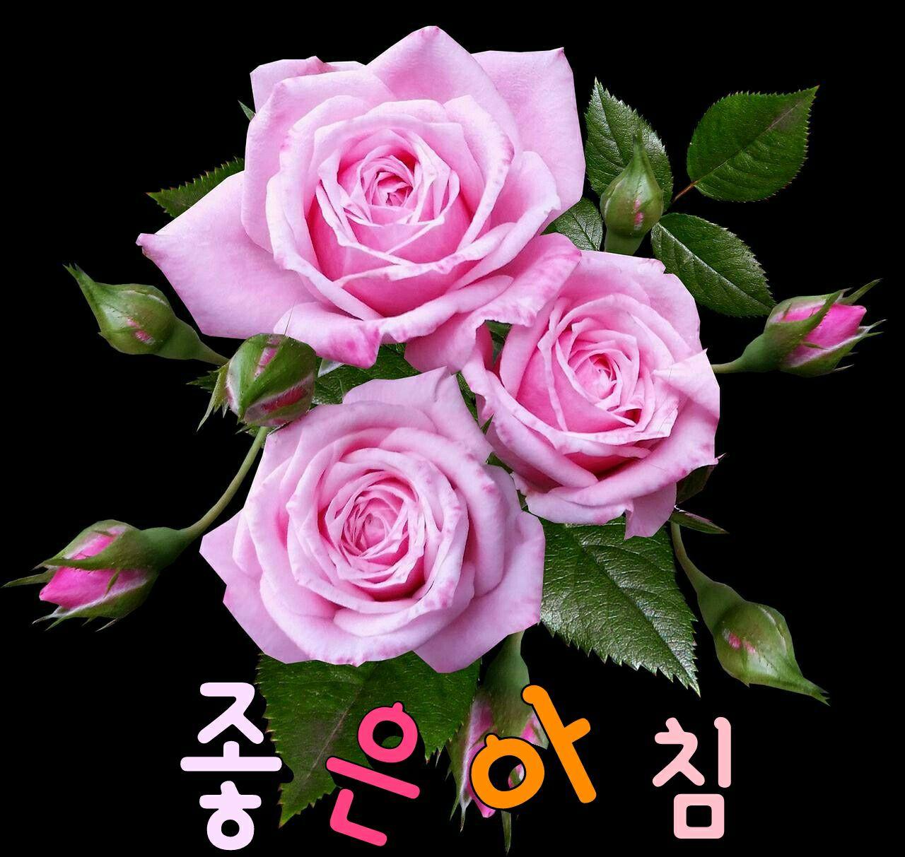 images/feeds/9ac59f4f1b02b46580ab94be3e699928