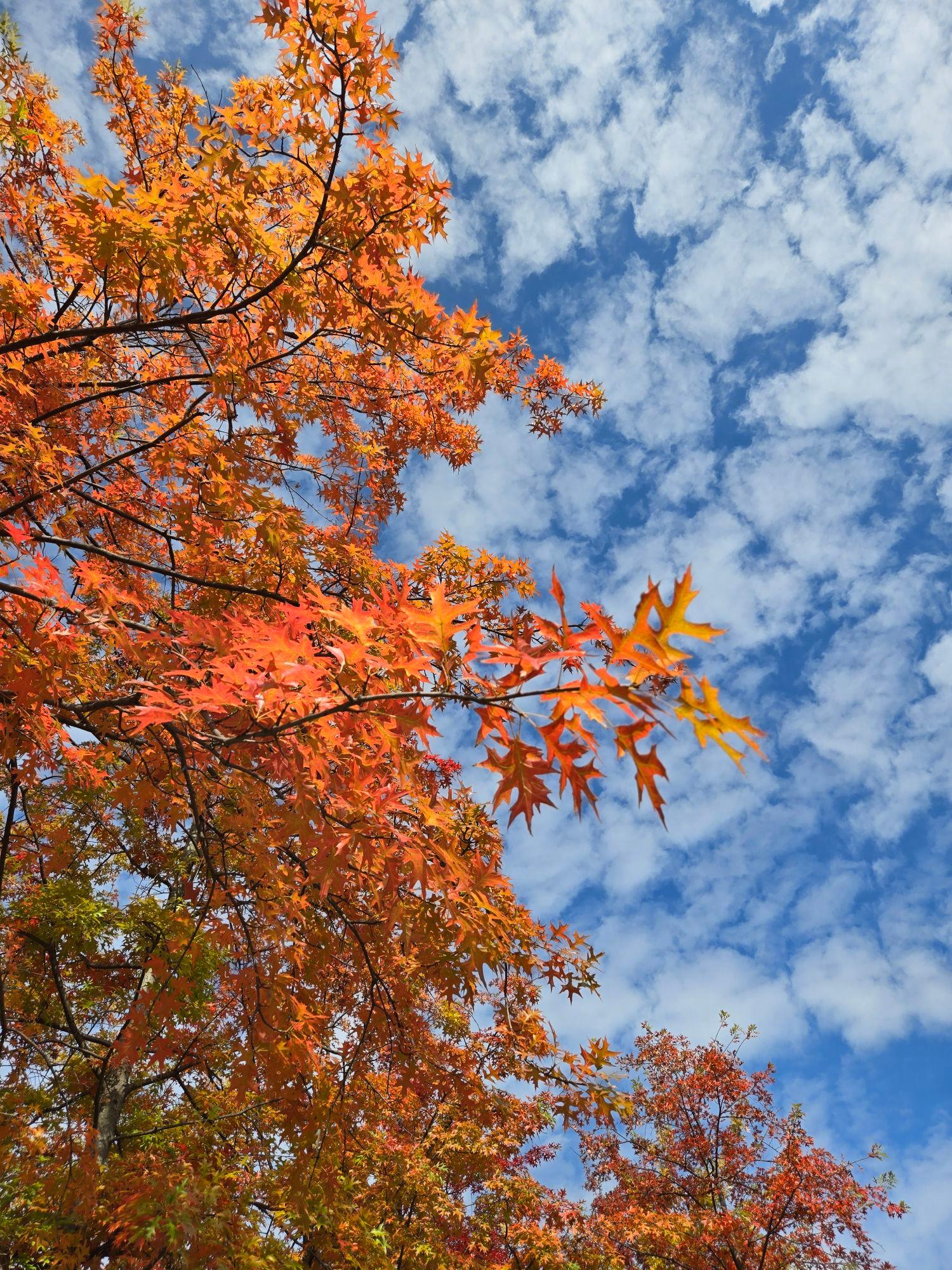 images/feeds/a19406eb68074f178356a7f8004a743f