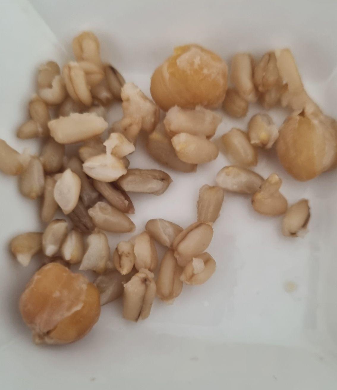 images/feeds/a2744b315e0a47ab8271b6eba427a026